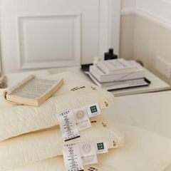 RUỘT GỐI MATXA CÔNG THÁI HỌC MS02 SIZE 48*74CM