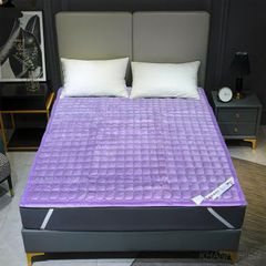 Thảm Nhung Trải sàn, trải giường đa năng sẵn kho 2 kích thước M6, M8 ( Khách lựa chọn mầu sắc inbox cho Shop nhé )