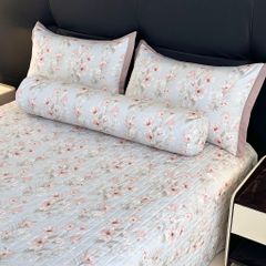 5Pcs Lyocel Sweet Korea Chần Phủ Freesize Codesku03