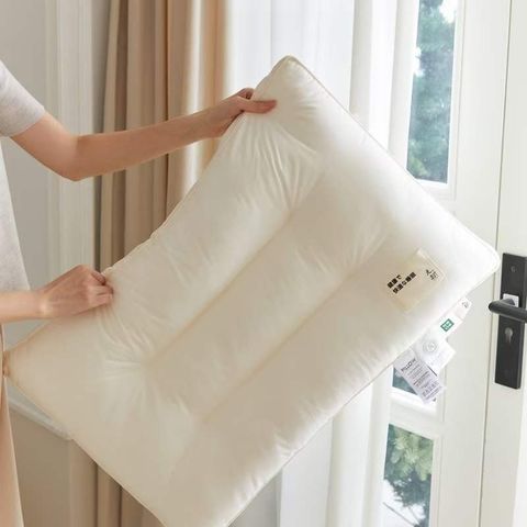 RUỘT GỐI MATXA CÔNG THÁI HỌC MS02 SIZE 48*74CM