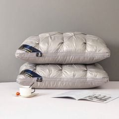 Ruột Gối Khách Sạn Hintol Garden 5Start