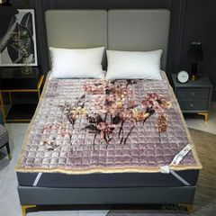 Thảm Nhung Trải sàn, trải giường đa năng sẵn kho 2 kích thước M6, M8 ( Khách lựa chọn mầu sắc inbox cho Shop nhé )