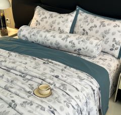 5Pcs Lyocel Sweet Korea Chần Phủ Freesize Codesku12