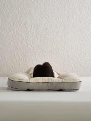 RUỘT GỐI CÔNG THÁI HỌC BẢO VỆ CỔ CHỐNG MỎI VAI GÁY V6 SIZE 48*74CM