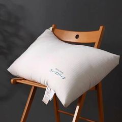 Ruột Gối Lụa Nhật - DeepSleep