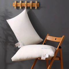 Ruột Gối Lụa Nhật - DeepSleep