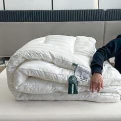 TOPPER KHÁCH SẠN | LOGAN & MASON HOTEL TOPPER EVERYDAY COMFORT | ID02 COLOR WHITE