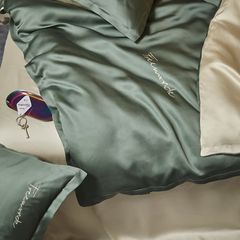 4Pcs Tencel 60S | Freemonde Degin Duvet Cover Set | ID 4PCSTENCEL60S025FMD10