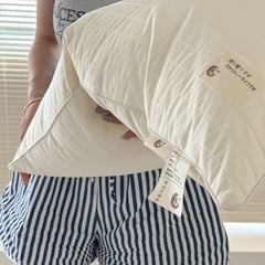 RUỘT GỐI LÔNG VŨ NHÂN TẠO CHẦN LATEX JAPAN SIZE 48*74CM