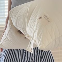 RUỘT GỐI LÔNG VŨ NHÂN TẠO CHẦN LATEX JAPAN SIZE 48*74CM