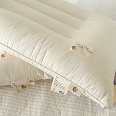 RUỘT GỐI MATXA CHẦN LATEX NÂNG TẦM GIẤC NGỦ SIZE GỐI 48*74CM