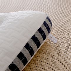 RUỘT GỐI MATXA THẤP ĐỊNH DỆT KIM MICROFIBER SIZE 48*74CM