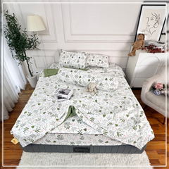 Set Chăn Ga Gối Bọc Chần Đũi Hàn Zaza Home