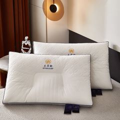 RUỘT GỐI MATXA CÔNG THÁI HỌC OPTIMAL SIZE 48*74CM