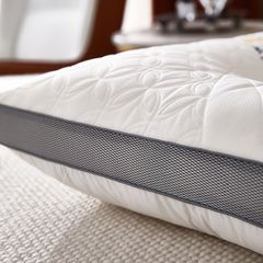 RUỘT GỐI MATXA CÔNG THÁI HỌC OPTIMAL SIZE 48*74CM