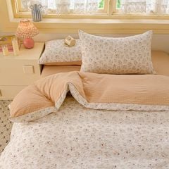 4Pcs PreCloud Linen | Set Đũi Xu Kem Style trẻ trung hiện đại | ID 4PCSPRECLOUD43