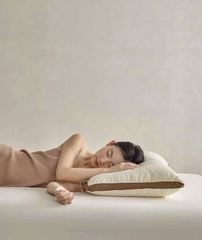 RUỘT GỐI LỤA TRẦN TRÁM VIỀN NÂNG KÉP BÔNG LÔNG VŨ NHÂN TẠO SIZE 48*74CM