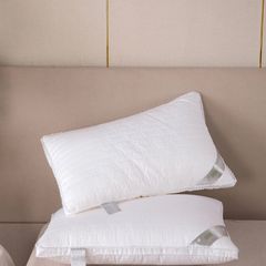 RUỘT GỐI LỤA LÔNG VŨ NHÂN TẠO PROTEIN PILLOW SILK SIZE 48*74CM