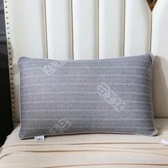 RUỘT GỐI MICROFIBER KHÁNG KHUẨN SIZE 48*74CM