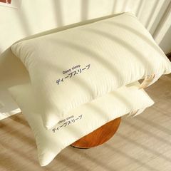 Ruột Gối Lụa Nhật - DeepSleep