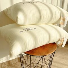 Ruột Gối Lụa Nhật - DeepSleep