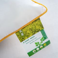 RUỘT GỐI NHẬP KHẨU HƯƠNG NGẢI CỨU ANTIBACTERIAL SIZE 48*74CM