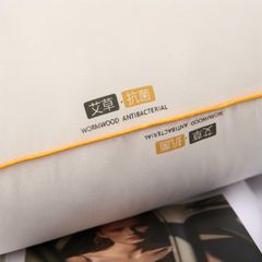 RUỘT GỐI NHẬP KHẨU HƯƠNG NGẢI CỨU ANTIBACTERIAL SIZE 48*74CM