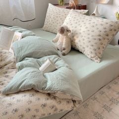 4Pcs PreCloud Linen | Set Đũi Xu Kem Style trẻ trung hiện đại | ID 4PCSPRECLOUD66
