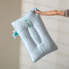 RUỘT GỐI ĐỊNH HÌNH COOLGEL LATEX THÊU HỌA CHIM CÁNH CỤT SIZE 48*74CM