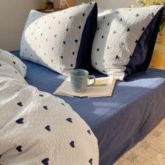 4Pcs PreCloud Linen | Set Đũi Xu Kem Style trẻ trung hiện đại | ID 4PCSPRECLOUD74