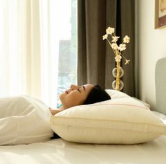 Nhân bản từ Ruột Gối Lụa Nhật - Meji