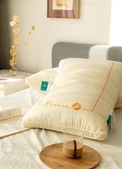 Nhân bản từ Ruột Gối Lụa Nhật - Meji