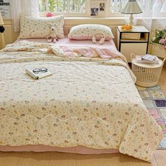 4Pcs Linen CLoud | Mark Home With Summer Blanket | ID 4PCSCLOUDSUM03