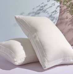 RUỘT GỐI LÔNG VŨ NHÂN TẠO CAO CẤP PRONEEM PRINCESS SIZE 48*74CM