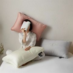 RUỘT GỐI LỤA 80S SUPPER COOL TENCEL 3 COLOR CHOICE SIZE 48*74CM