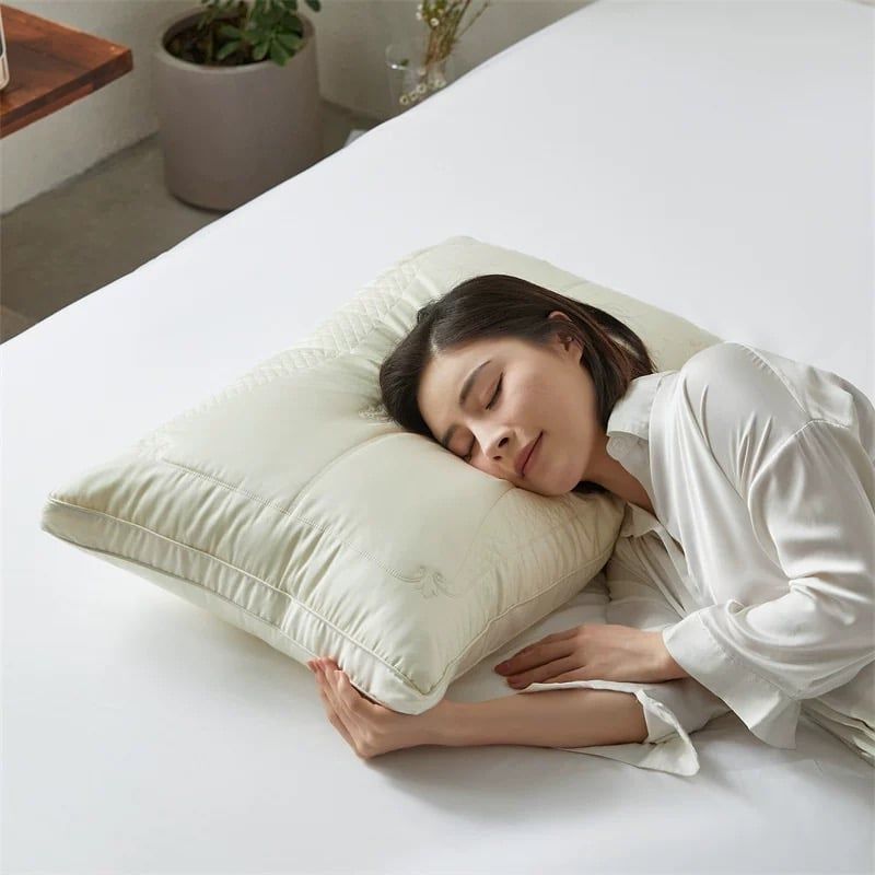 RUỘT GỐI LỤA 80S SUPPER COOL TENCEL 3 COLOR CHOICE SIZE 48*74CM