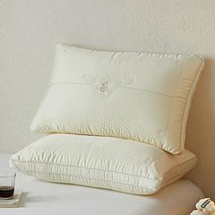 RUỘT GỐI LỤA 80S SUPPER COOL TENCEL 3 COLOR CHOICE SIZE 48*74CM