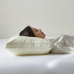 RUỘT GỐI LỤA 80S SUPPER COOL TENCEL 3 COLOR CHOICE SIZE 48*74CM