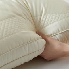 RUỘT GỐI LỤA 80S SUPPER COOL TENCEL 3 COLOR CHOICE SIZE 48*74CM