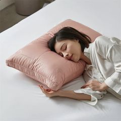 RUỘT GỐI LỤA 80S SUPPER COOL TENCEL 3 COLOR CHOICE SIZE 48*74CM