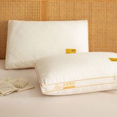 RUỘT GỐI BÔNG ĐẬU SOYBEAN FIBERS CAO CẤP MẶT CHẦN COTTON NATURAL SIZE 48*74CM