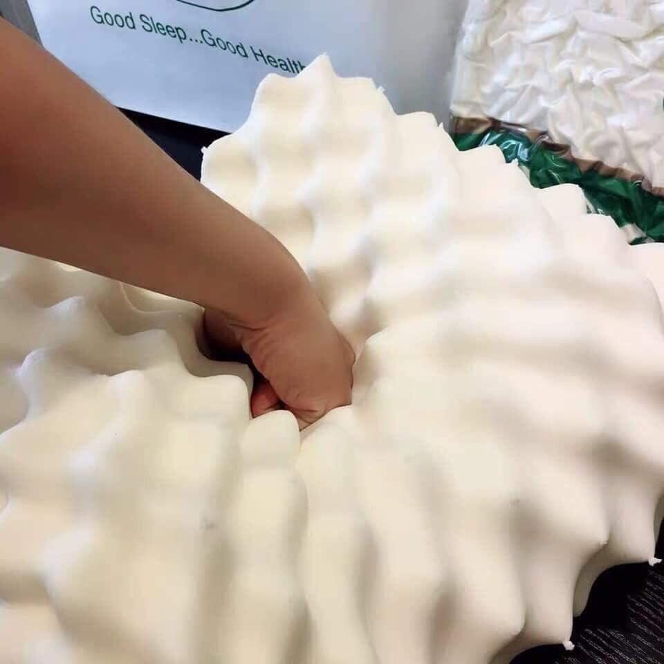 Gối cao su non Ventry