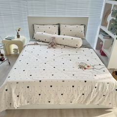 Set đũi Hàn vô cùng xinh xắn đáng yêu với 7 tone mầu kute