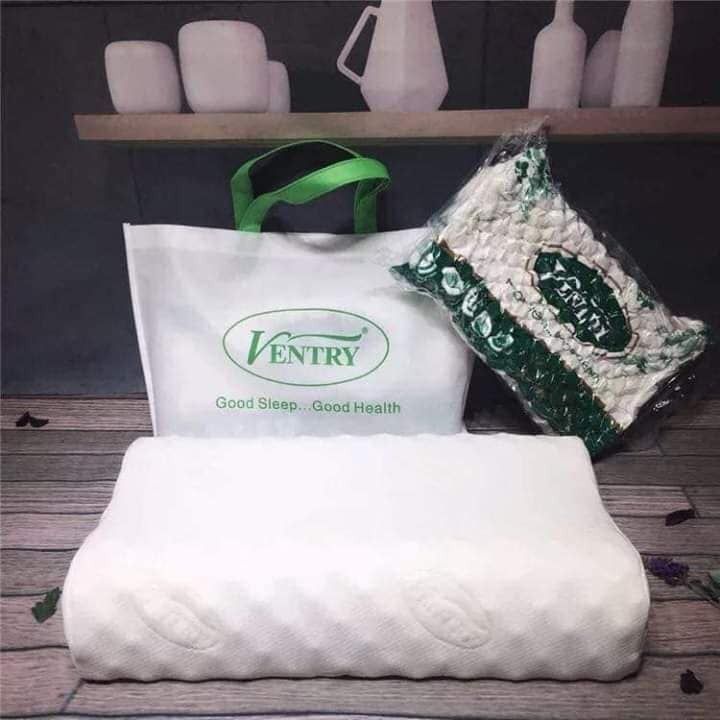Gối cao su non Ventry