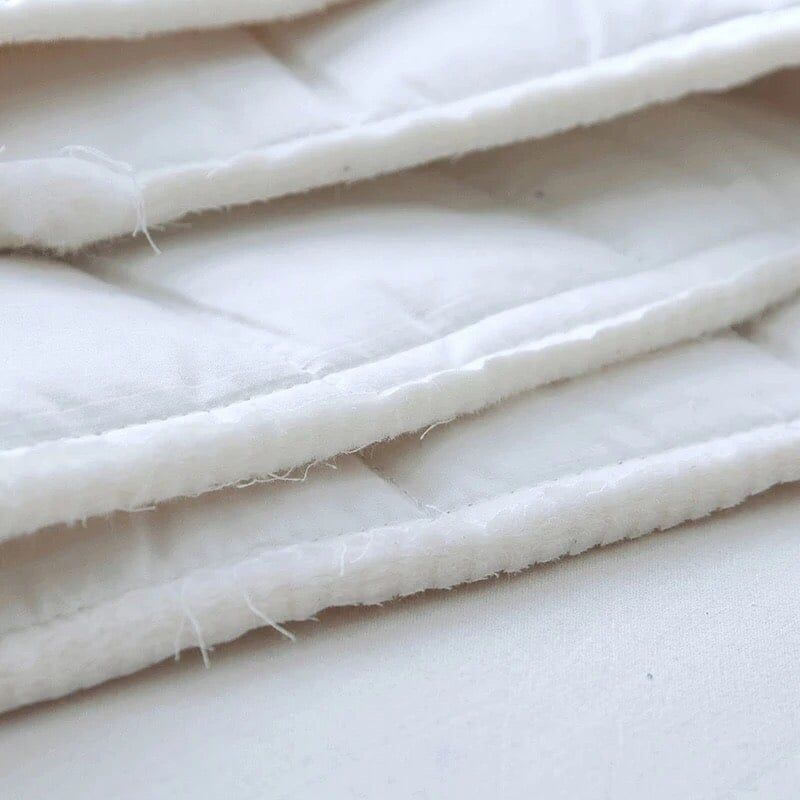 Bảo vệ Nệm CG Christopher Guy | Standard chun cố định 4 góc | CG For Bed (không chống thấm)