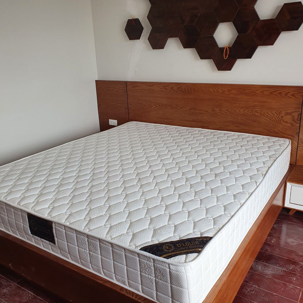 NỆM LOXO TÚI ĐỘC LẬP THÀNH CỨNG D'LOUIS STANDARD CAO 22CM