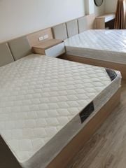 NỆM LOXO TÚI ĐỘC LẬP THÀNH CỨNG D'LOUIS STANDARD CAO 22CM