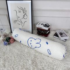 VỎ GỐI ÔM CAOSU LATEX - SIZE 35*105CM