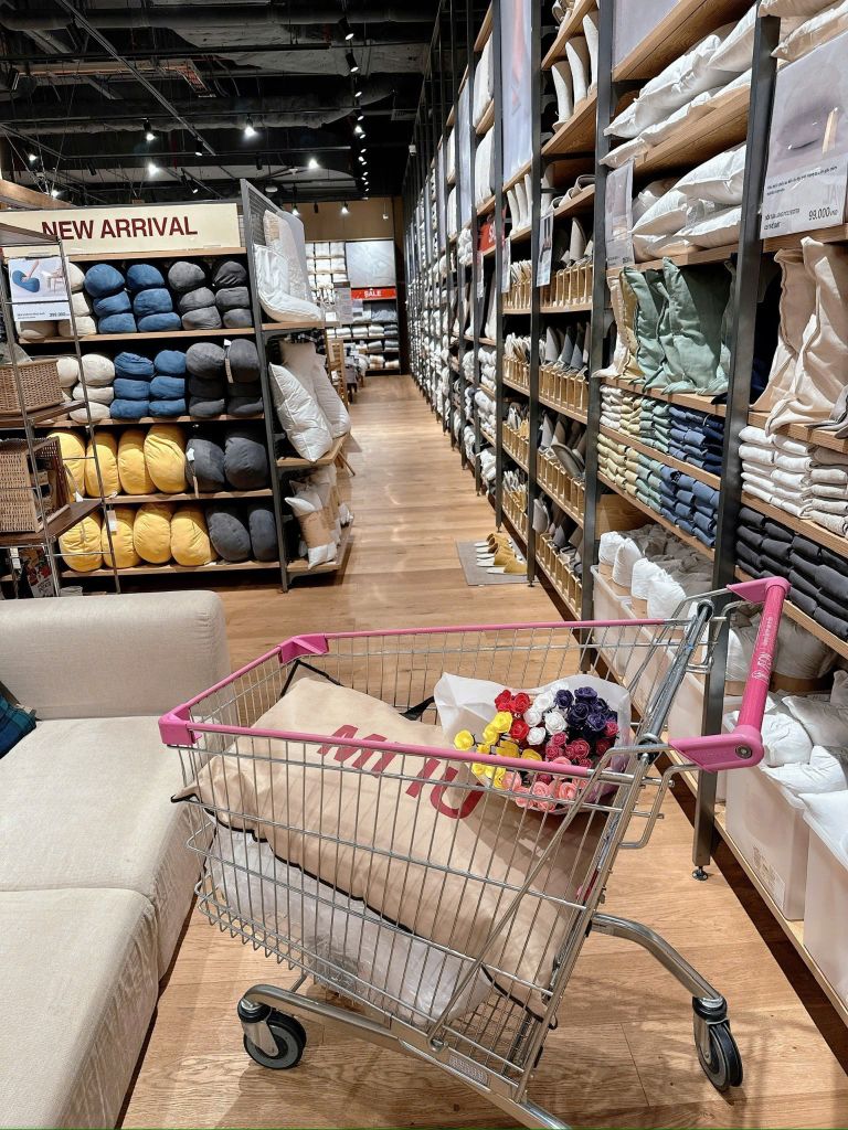 RUỘT GỐI MUIJ CAO CẤP SIZE 48*74cm