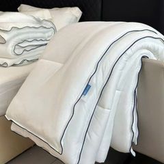 Ruột Chăn Planet Sleep Hotel 230*200 3kg